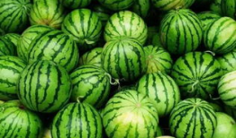 中国吃瓜爆料群有哪些,网络舆论场中的风云变幻