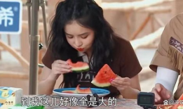 陆柯燃吃瓜爆料