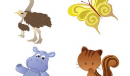 动物动漫,动物动漫的奇幻冒险之旅